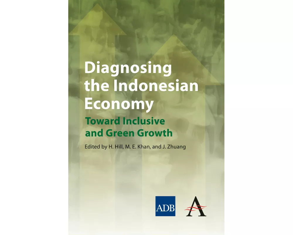 Diagnosing the Indonesian Economy
