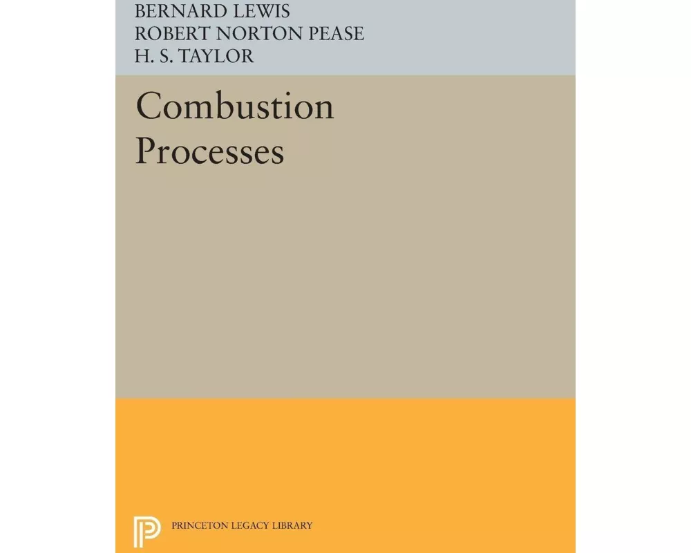 Combustion Processes