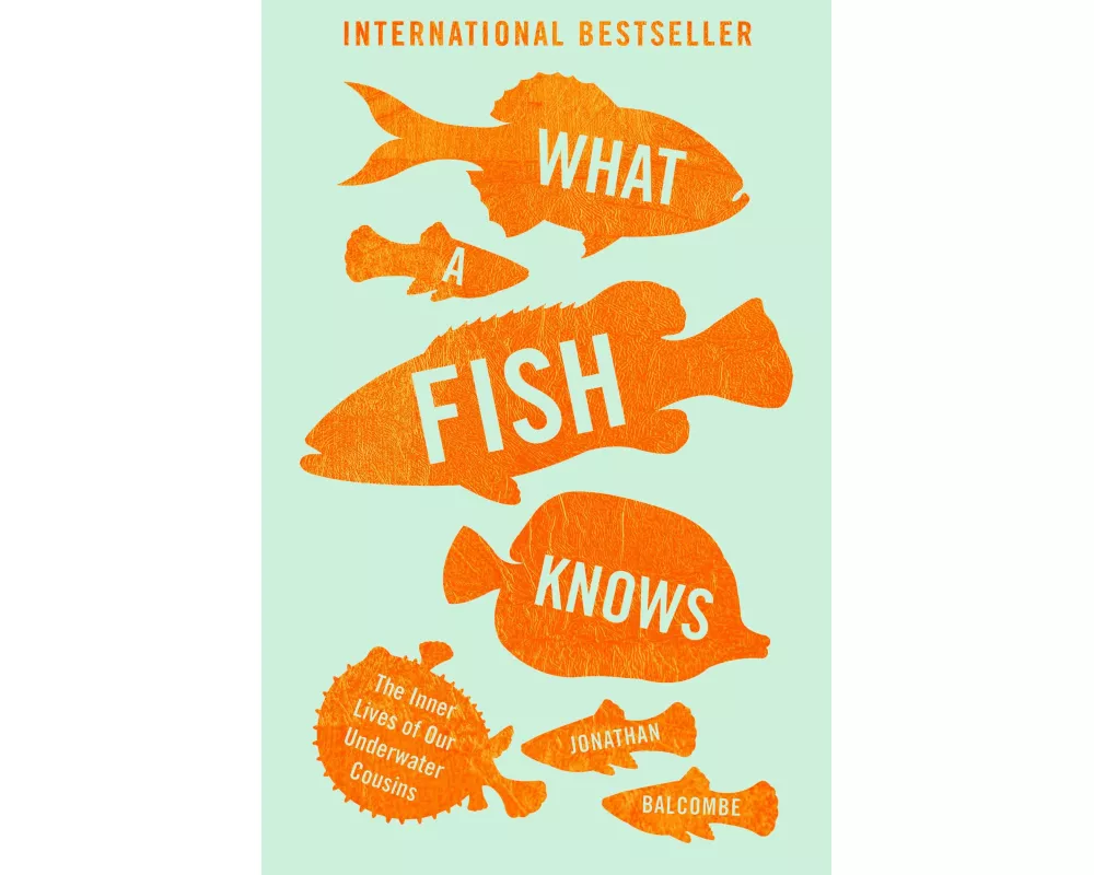 What a Fish Knows