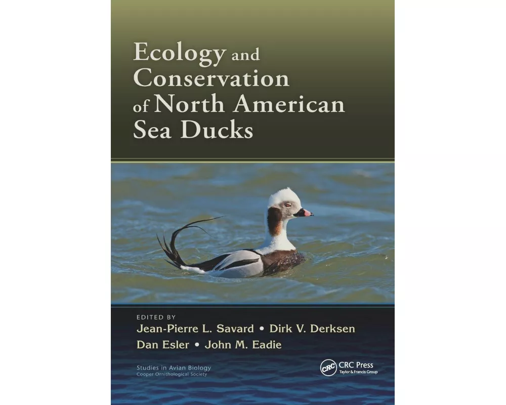 Ecology and Conservation of North American Sea Ducks