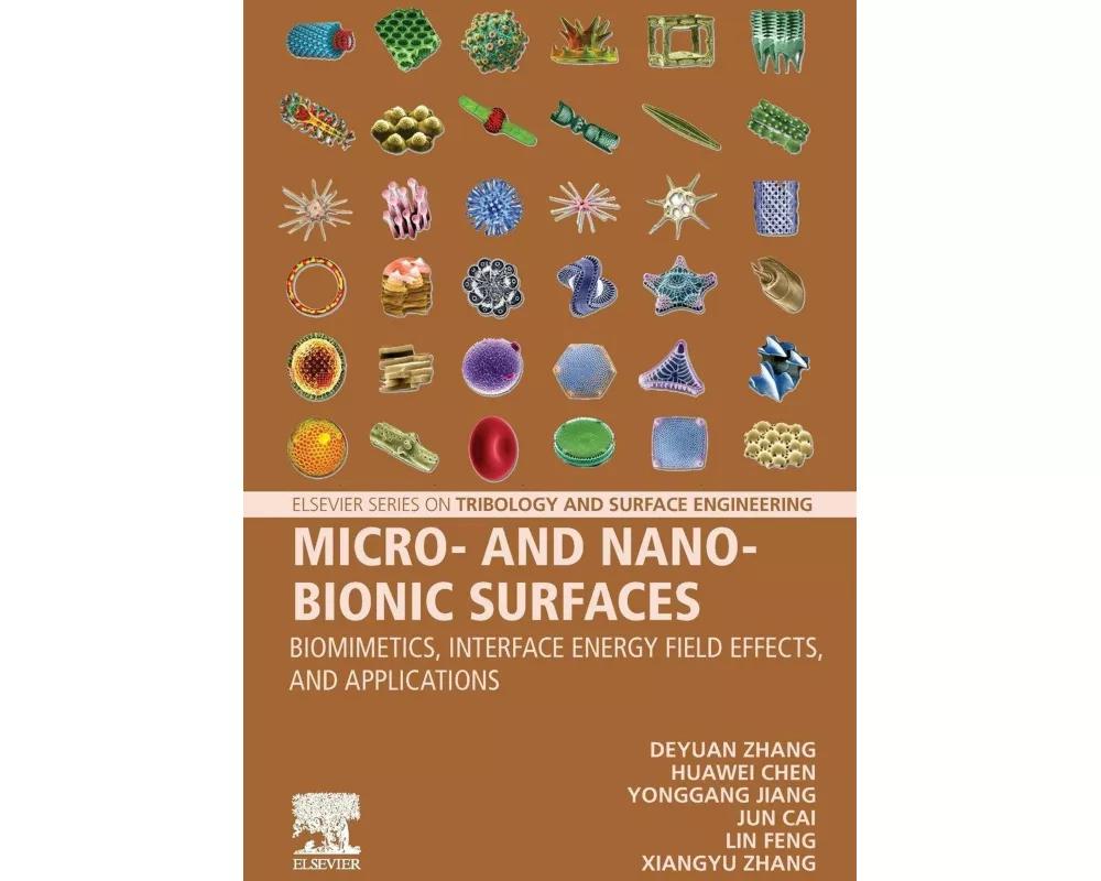 Micro- and Nano-Bionic Surfaces