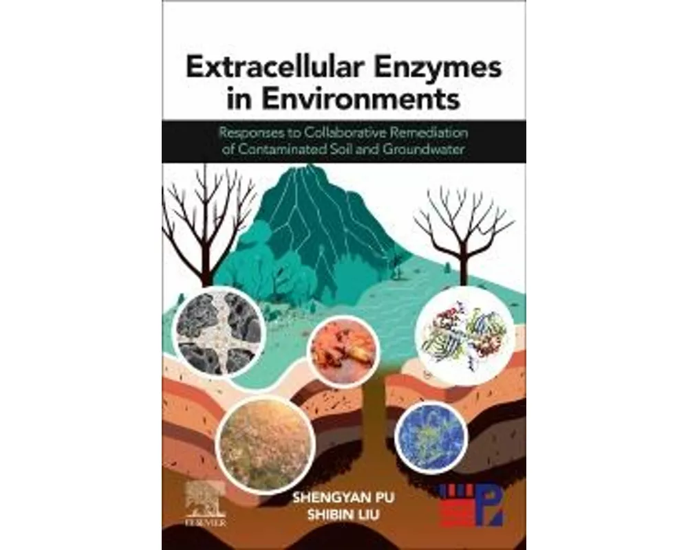 Extracellular Enzymes in Environments