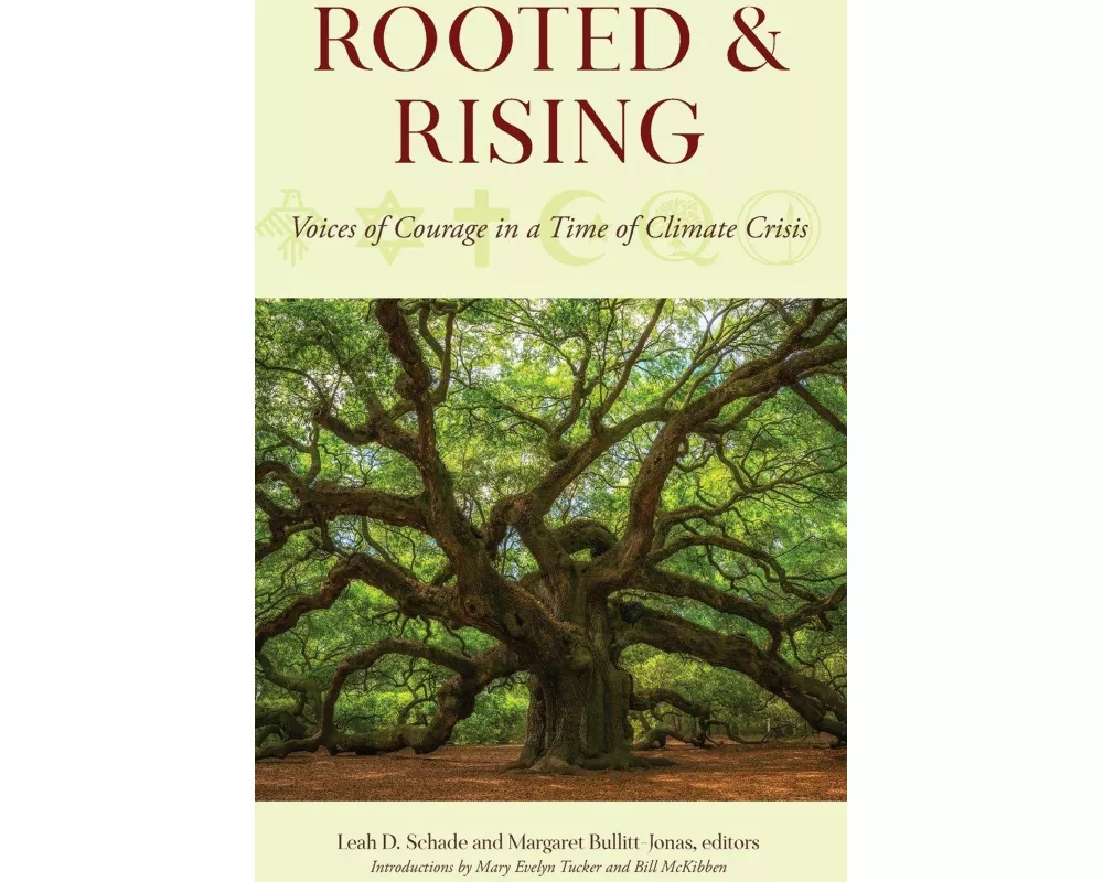 Rooted and Rising