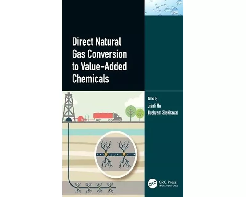 Direct Natural Gas Conversion to Value-Added Chemicals
