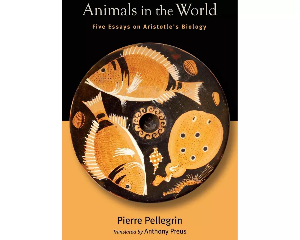 Animals in the World