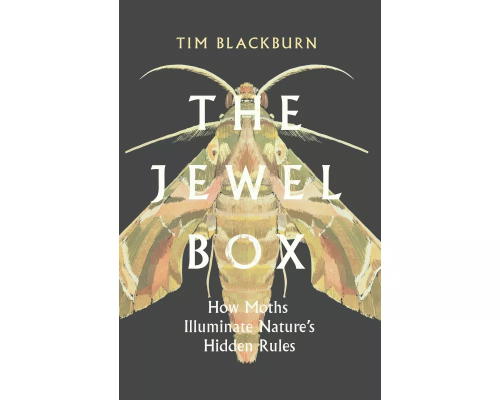 The Jewel Box