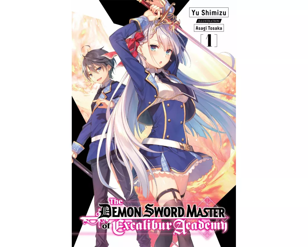 The Demon Sword Master of Excalibur Academy, Vol. 1 (light novel)