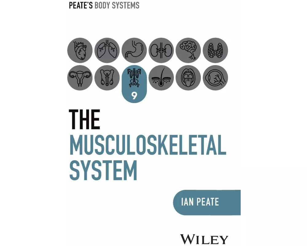 The Musculoskeletal System