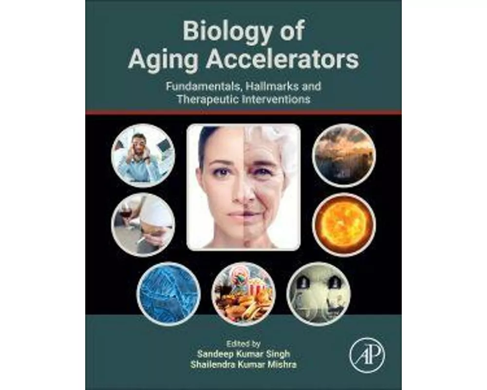 Biology of Aging Accelerators