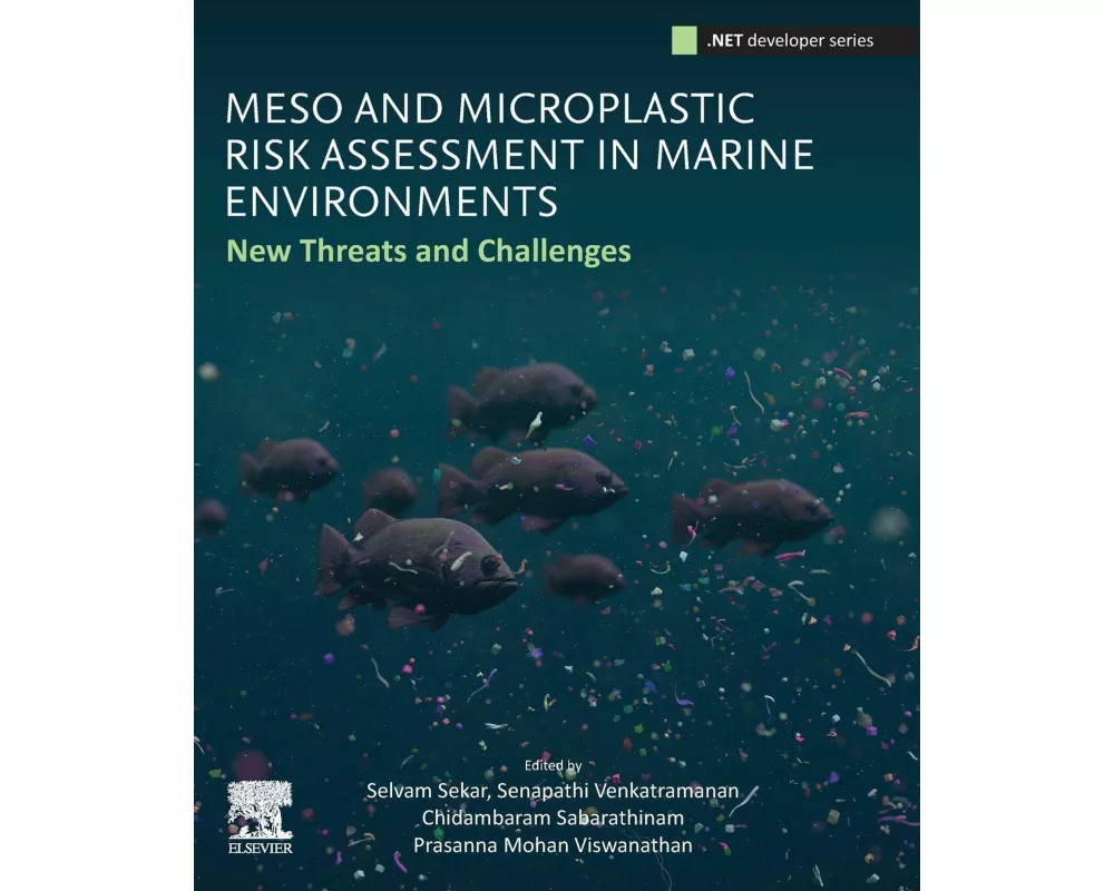 Meso and Microplastic Risk Assessment in Marine Environments