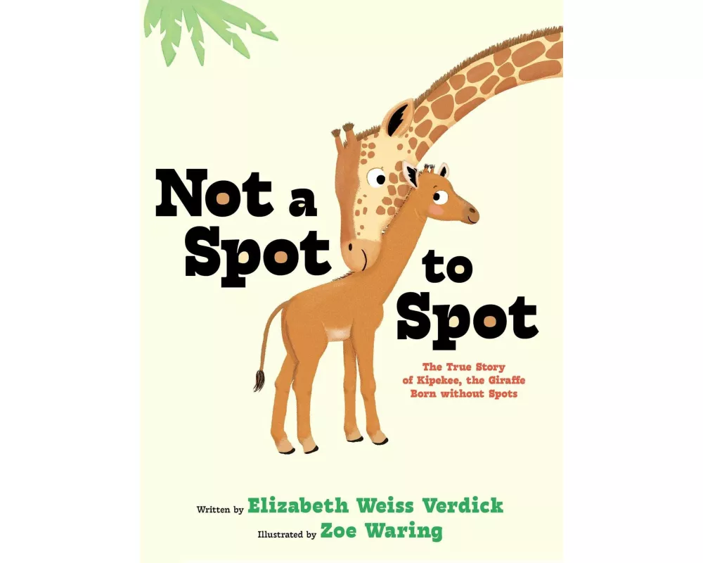 Not a Spot to Spot