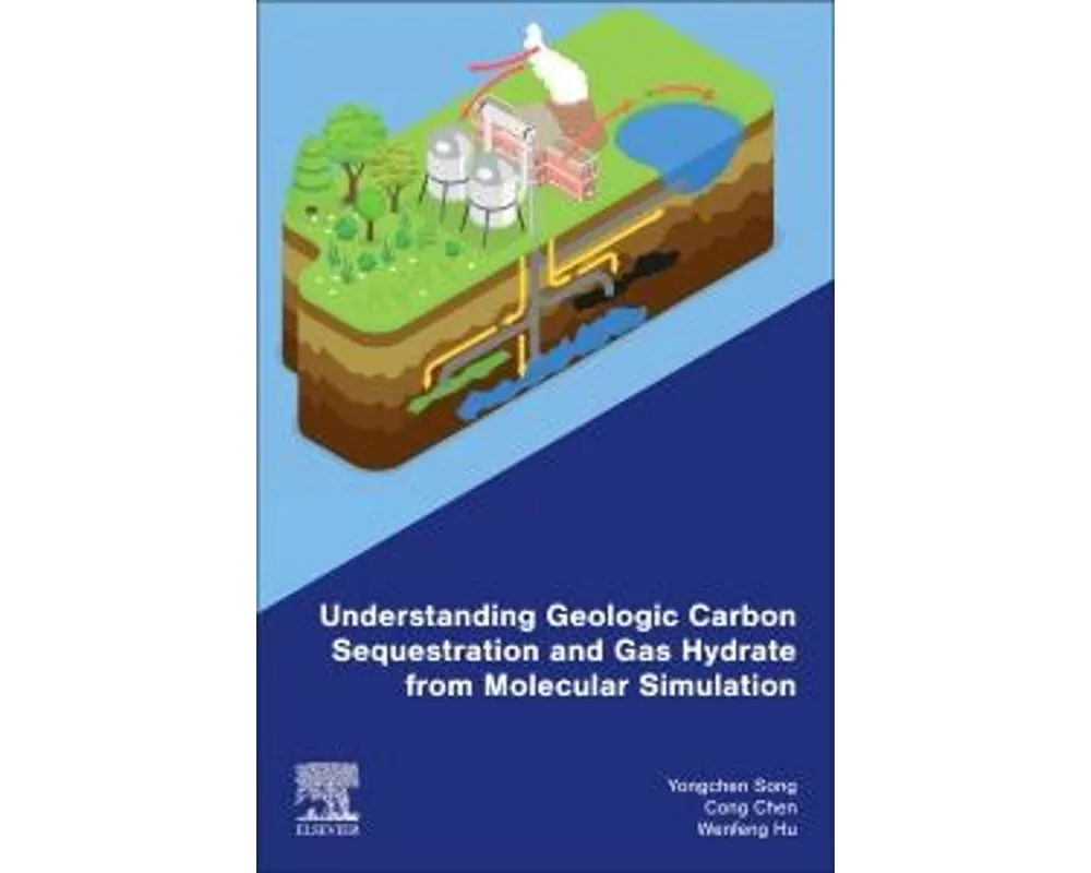 Understanding Geologic Carbon Sequestration and Gas Hydrate from Molecular Simulation