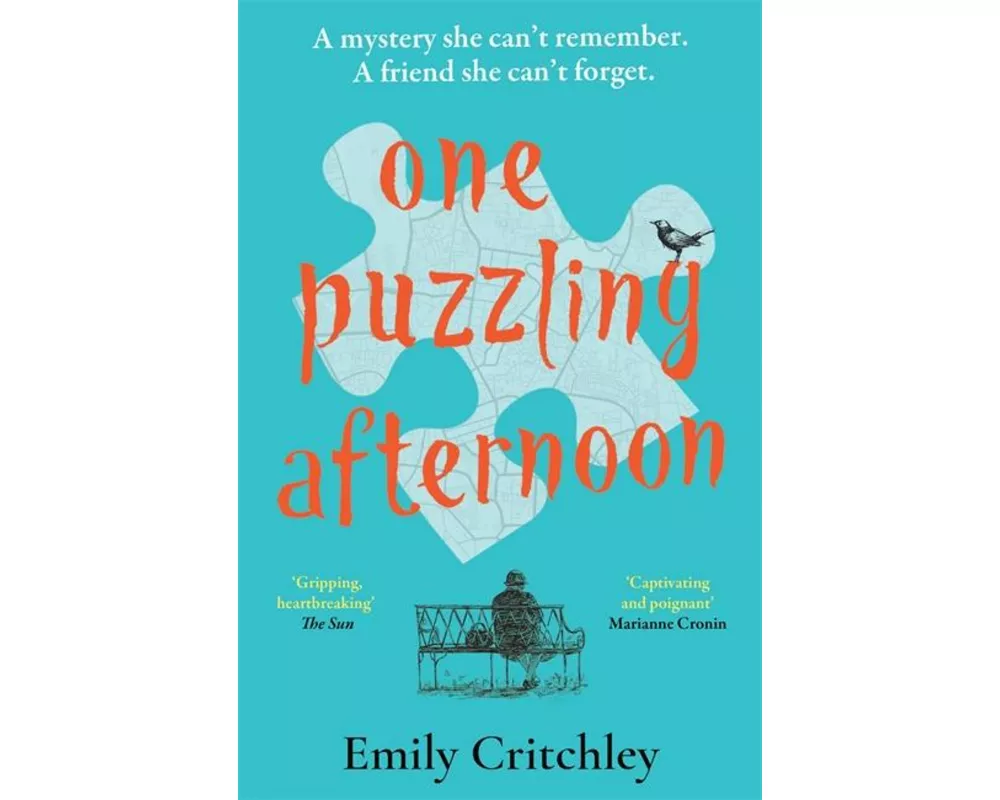 One Puzzling Afternoon