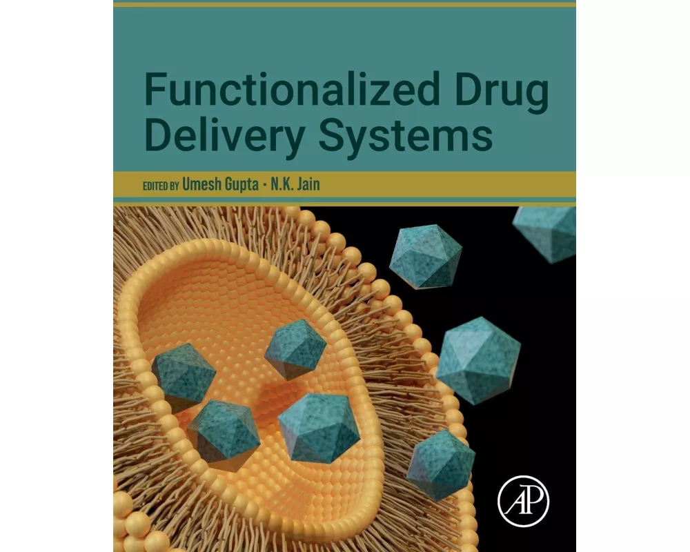 Functionalized Drug Delivery Systems
