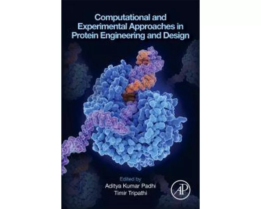 Computational and Experimental Approaches in Protein Engineering and Design