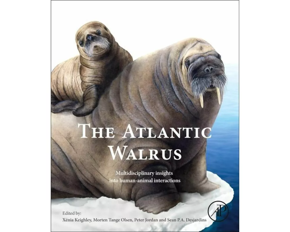 The Atlantic Walrus