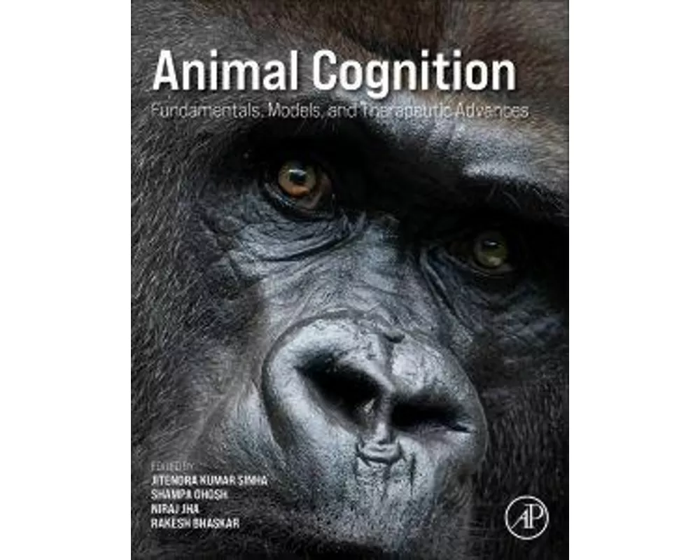 Animal Cognition