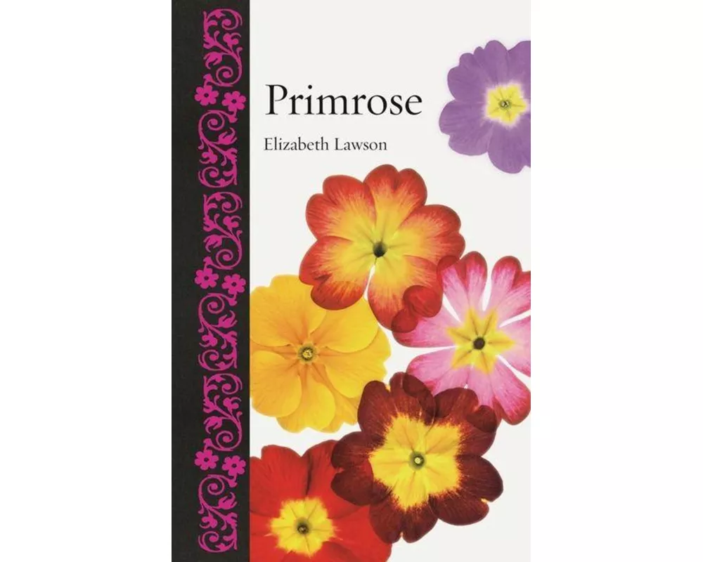 Primrose
