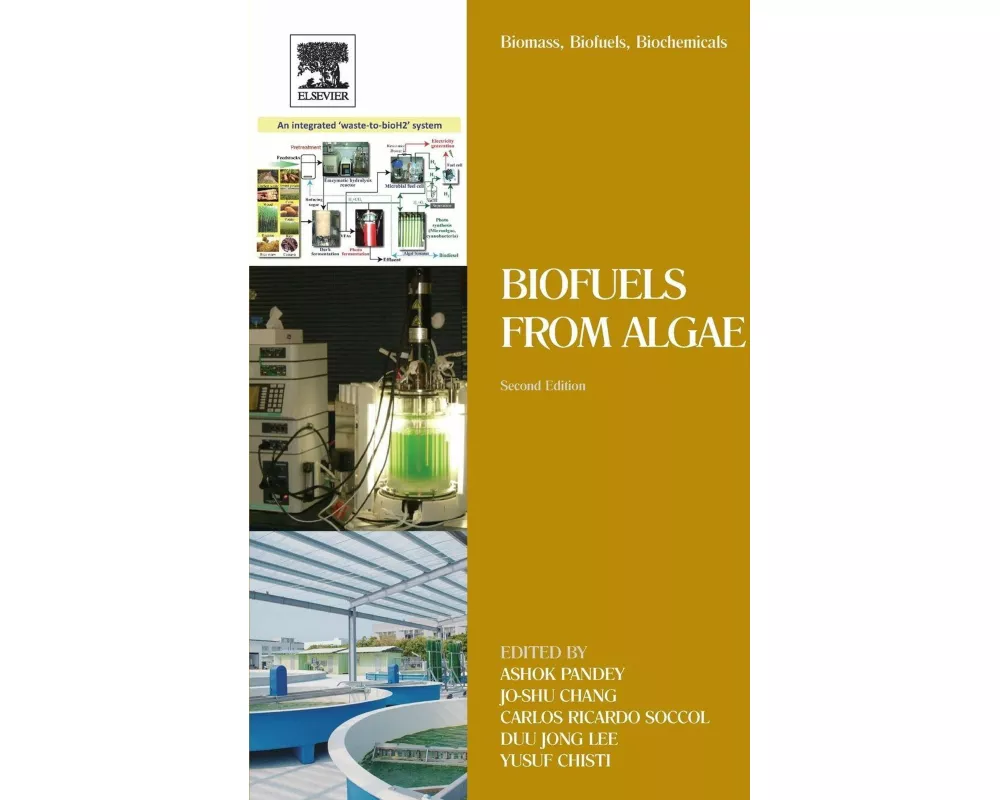 Biomass, Biofuels, Biochemicals