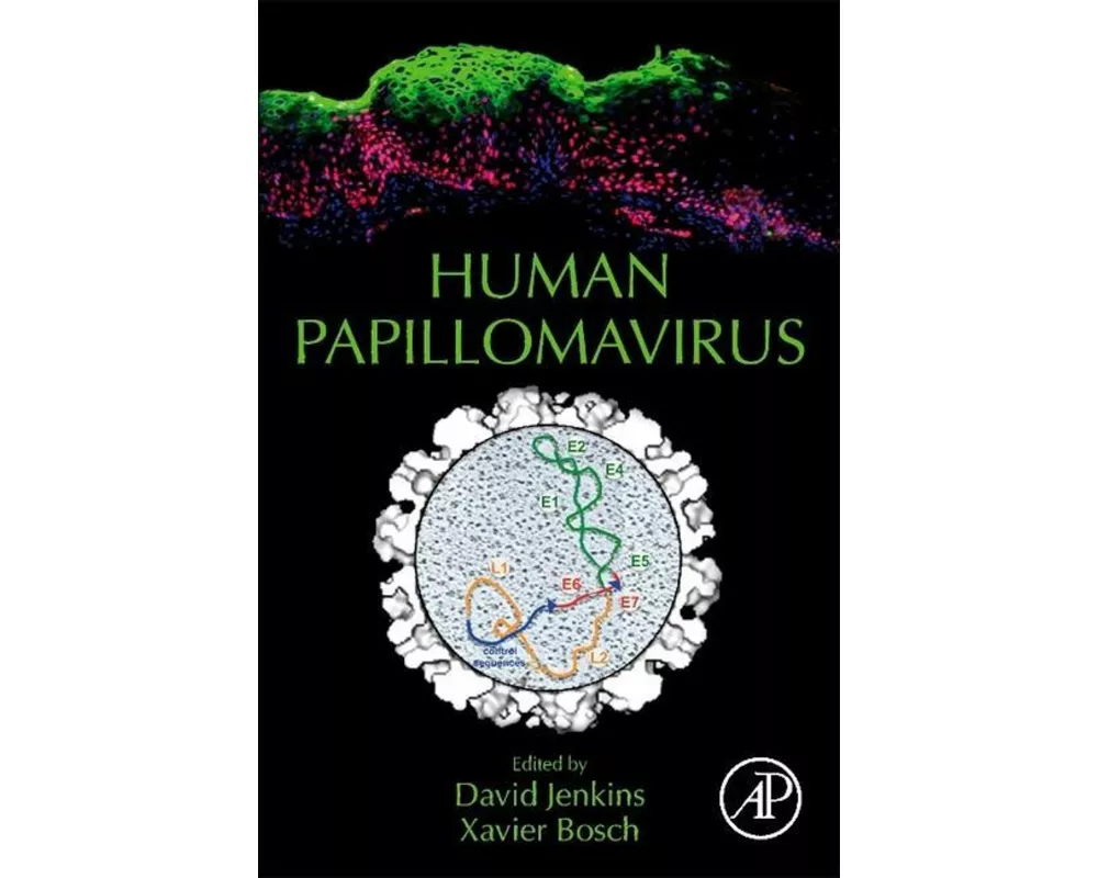 Human Papillomavirus