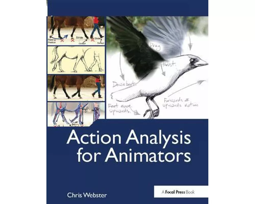 Action Analysis for Animators