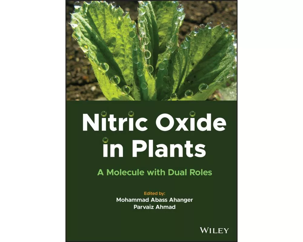 Nitric Oxide in Plants