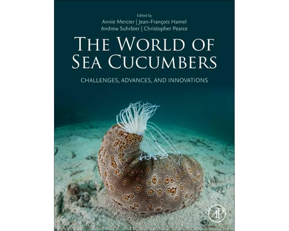 The World of Sea Cucumbers
