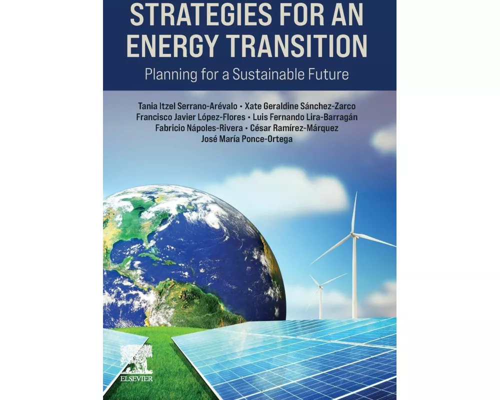 Strategies for an Energy Transition