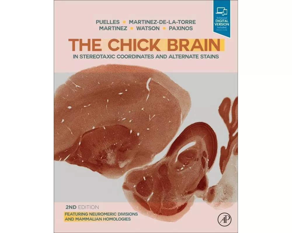The Chick Brain in Stereotaxic Coordinates and Alternate Stains