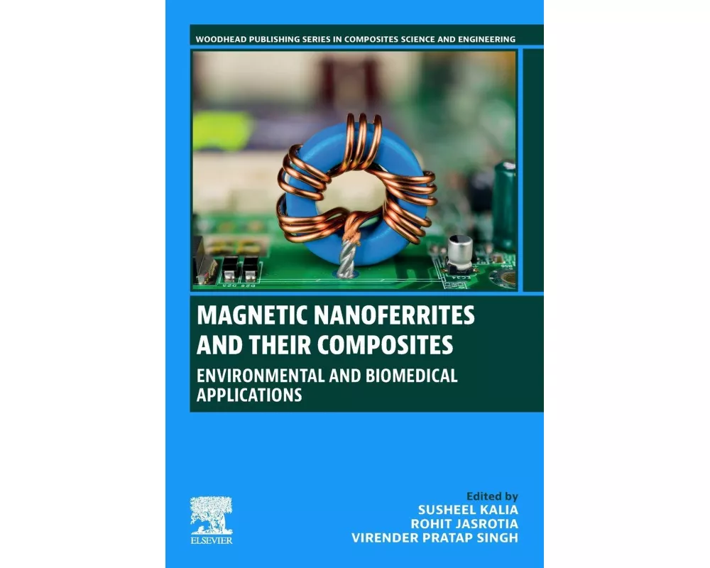 Magnetic Nanoferrites and their Composites