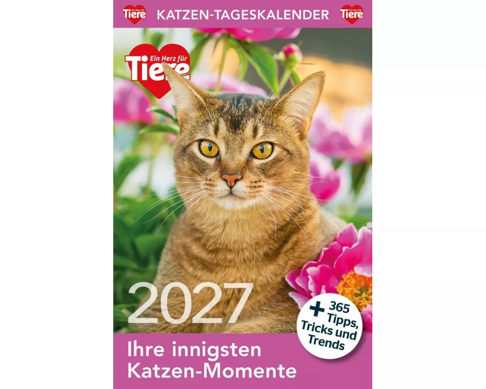 Katzen Tageskalender 2027