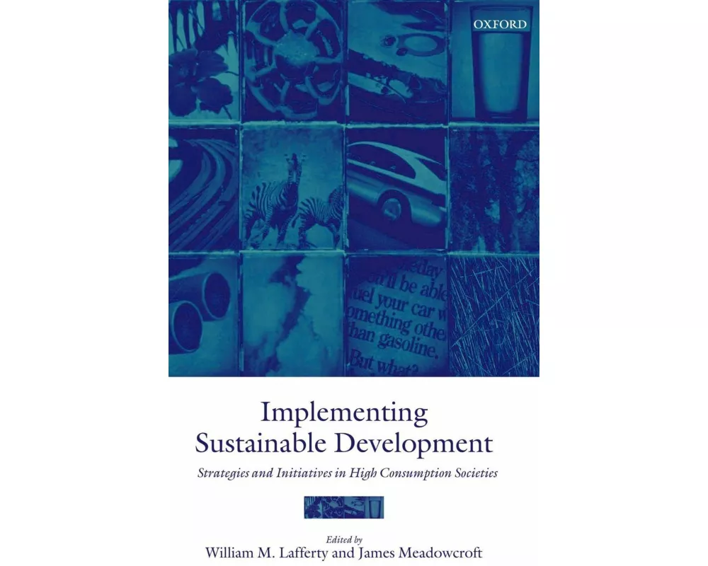 Implementing Sustainable Development