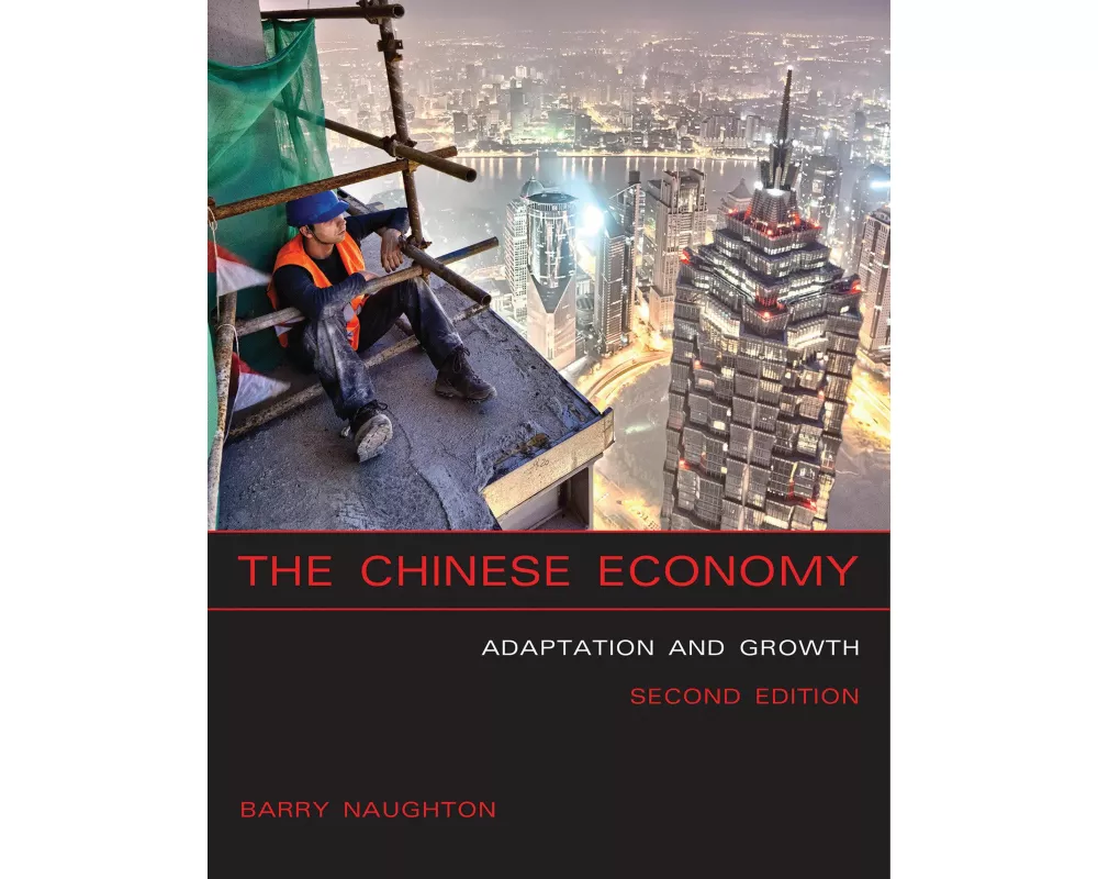 The Chinese Economy