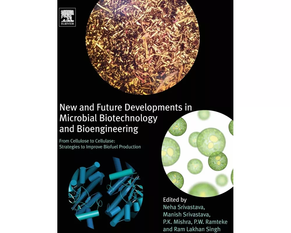 New and Future Developments in Microbial Biotechnology and Bioengineering