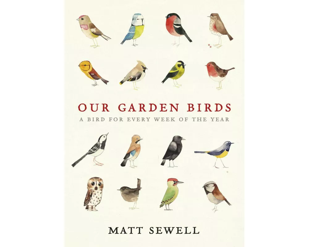 Our Garden Birds