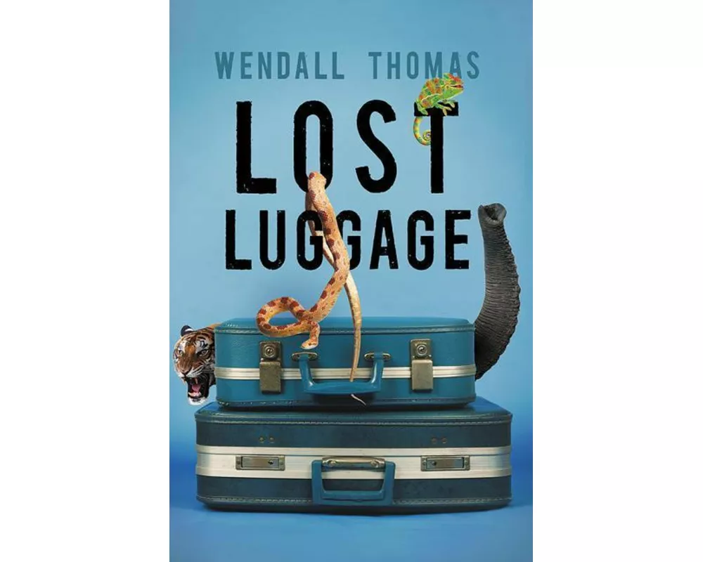 Lost Luggage