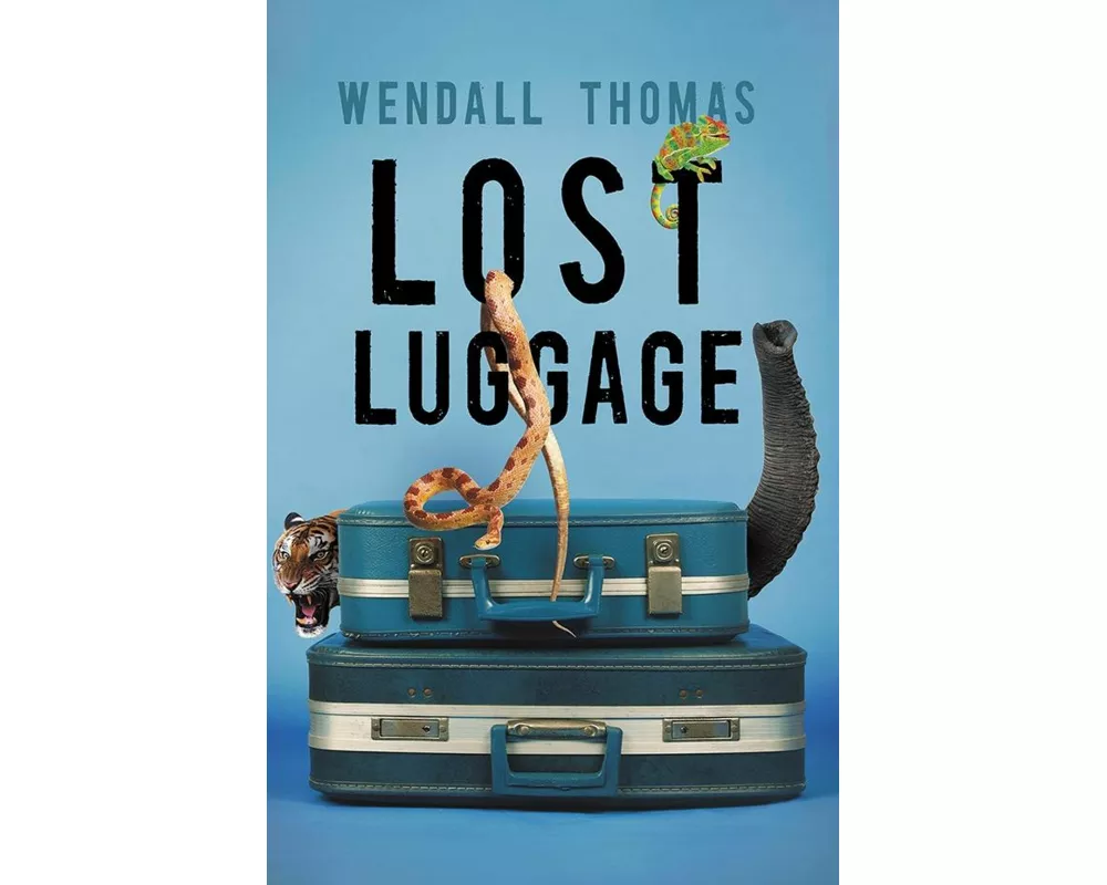 Lost Luggage