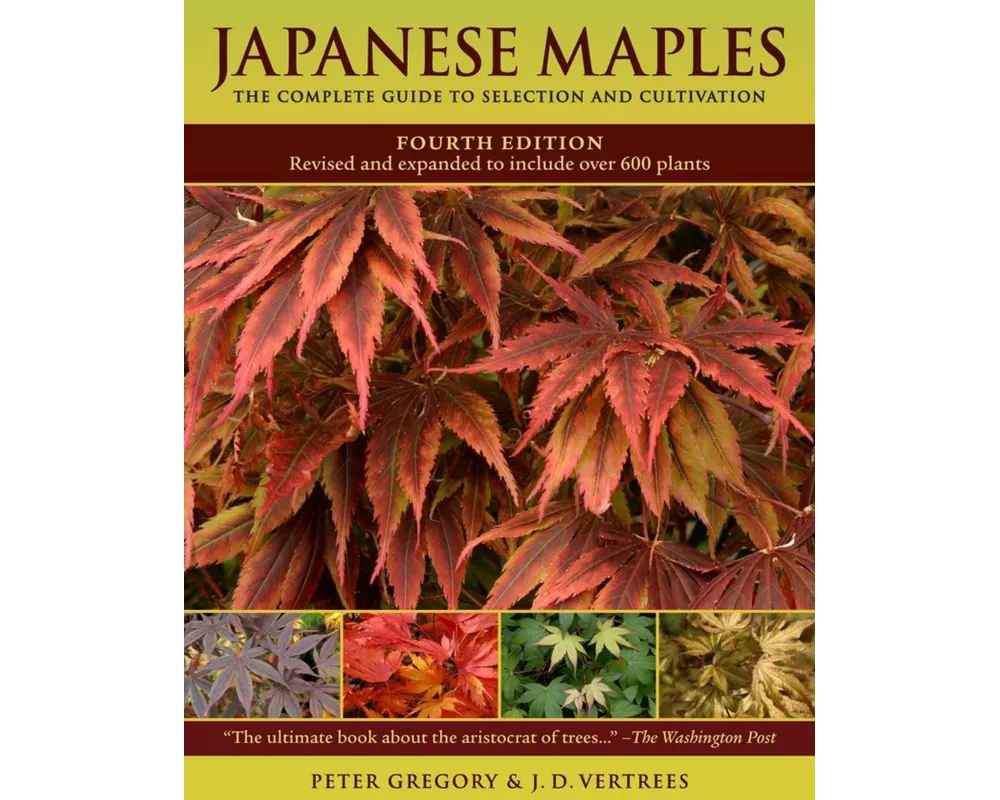 Japanese Maples