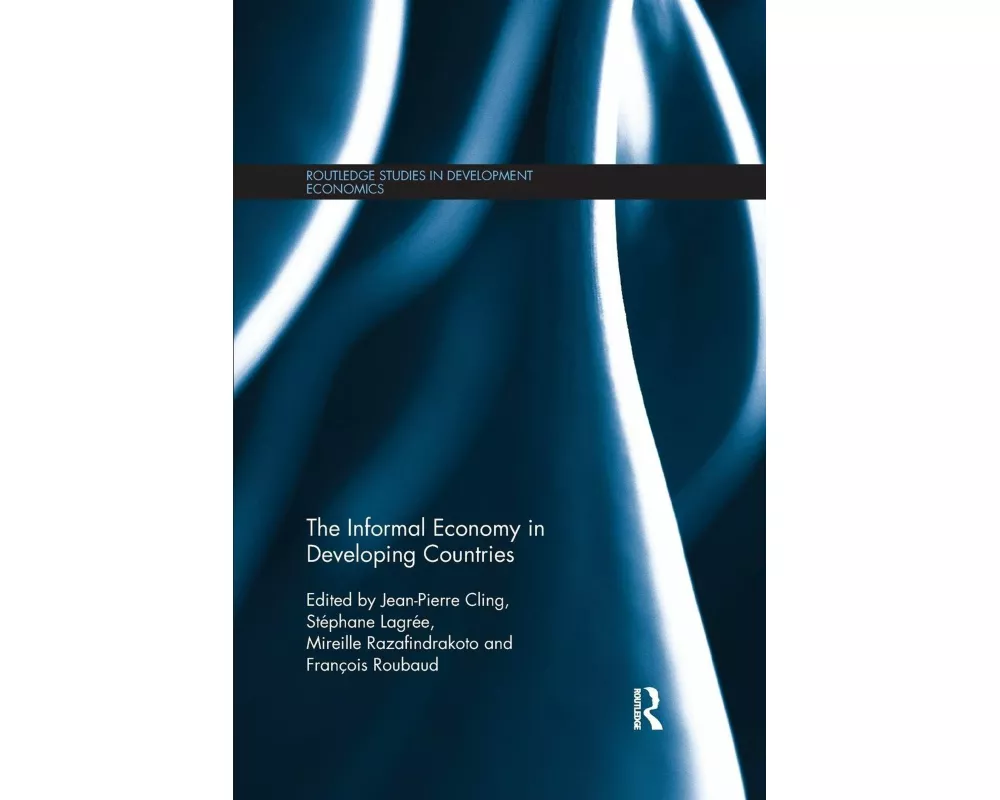 The Informal Economy in Developing Countries