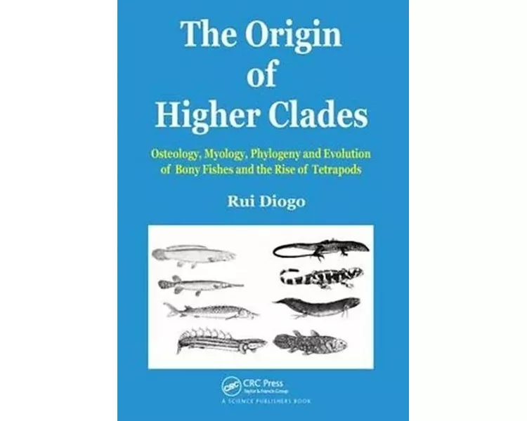 The Origin of Higher Clades