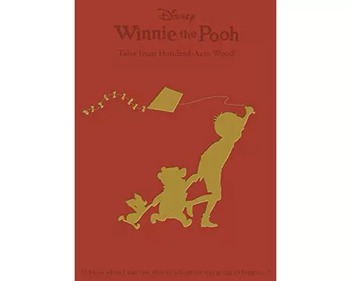 Disney - Winnie the Pooh: Tales from Hundred-Acre Wood