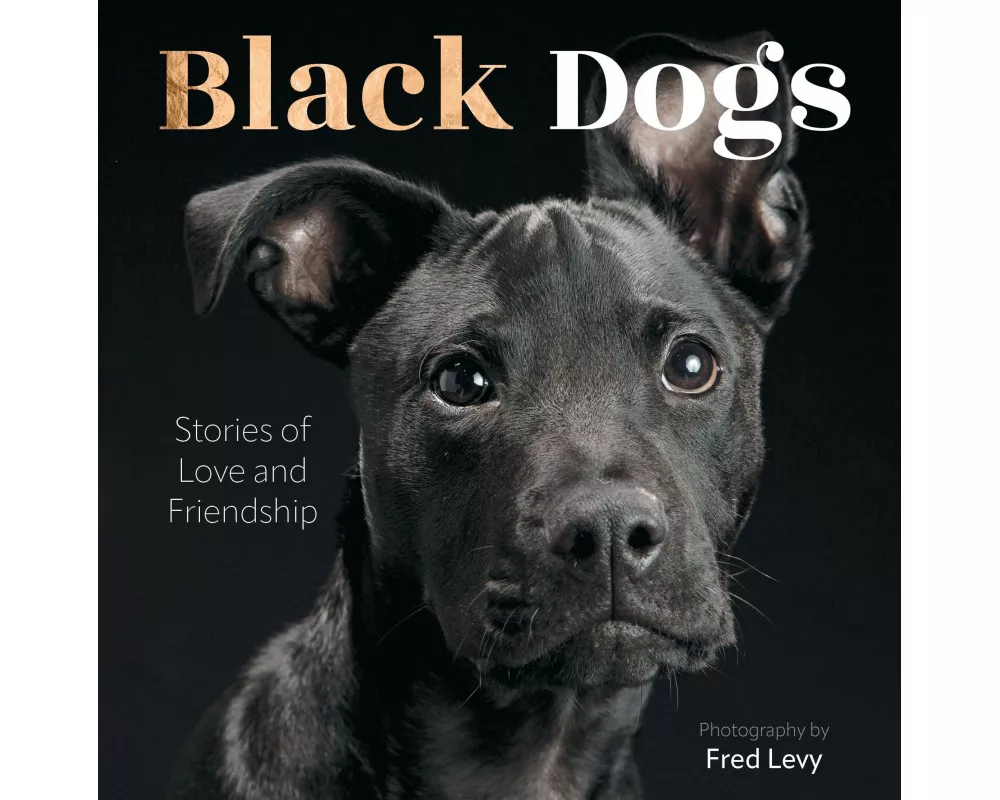 Black Dogs