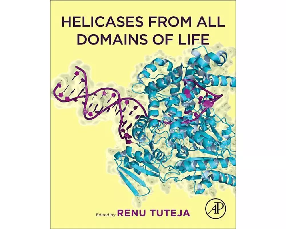 Helicases from All Domains of Life