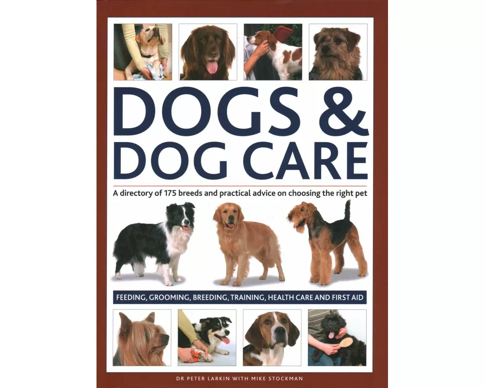 Dogs & Dog Care