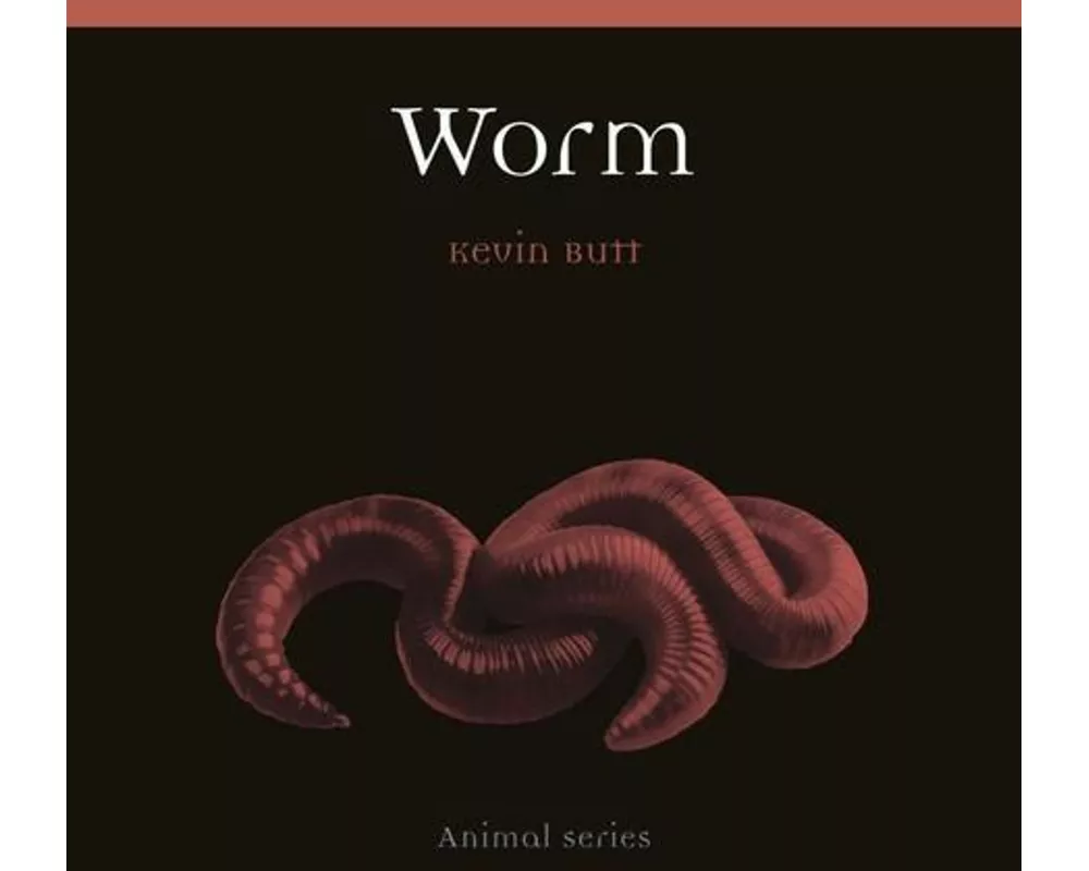 Worm