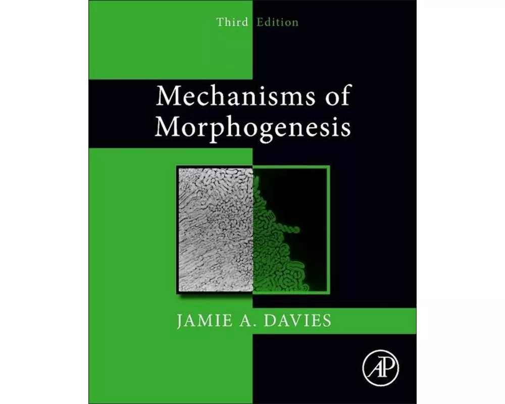 Mechanisms of Morphogenesis