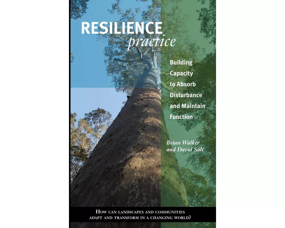 Resilience Practice