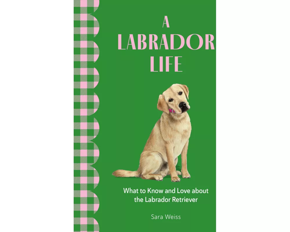 A Labrador Life