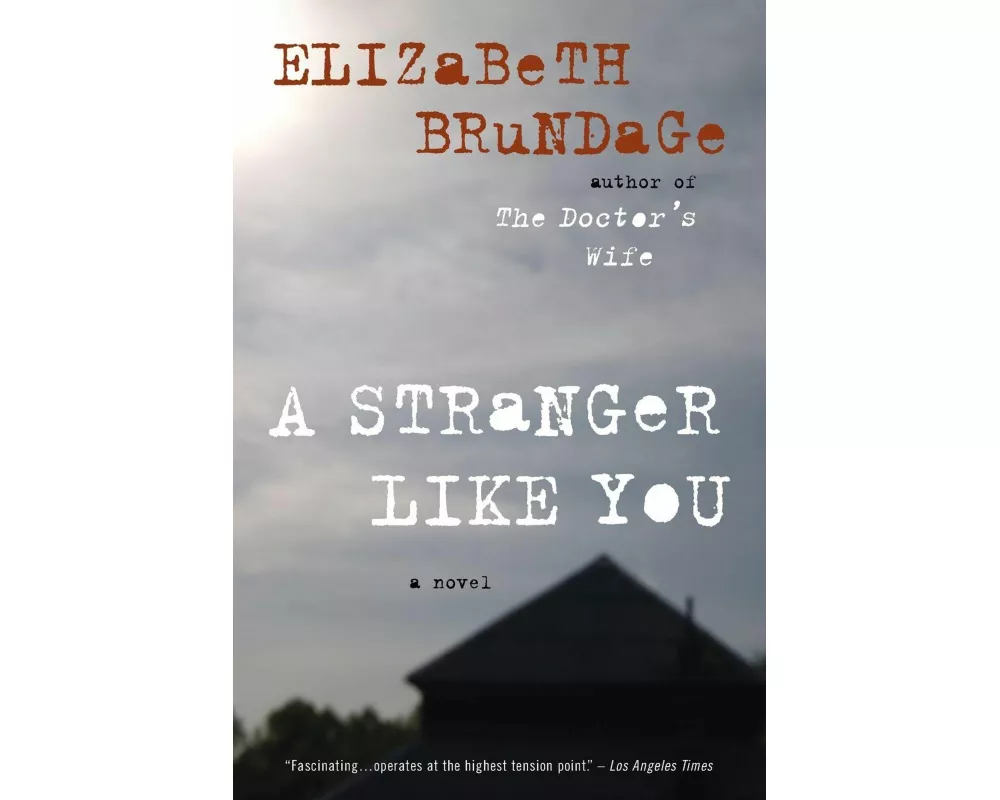 A Stranger Like You