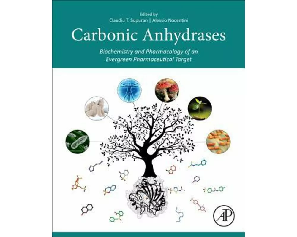 Carbonic Anhydrases